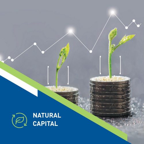 natural-capital